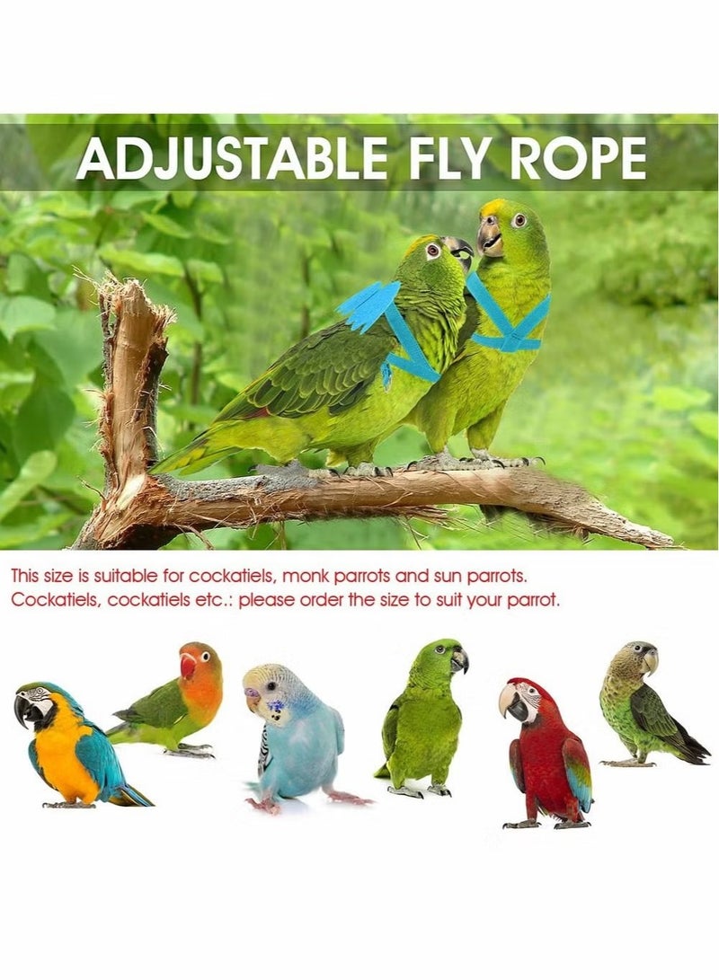 حزام تدريب على الطيور ، حبل ببغاء قابل للبغاء القابل للتعديل حول الرصاص الرصاص الرصاص الرصاص الرصاص الأدوات المتينة للأدوات الخارجية للطيور ، الببغاوات ، الببغاوات الصغيرة ، الببغاوات ، الببغاوات ، لوري ، رمادي - Image 5