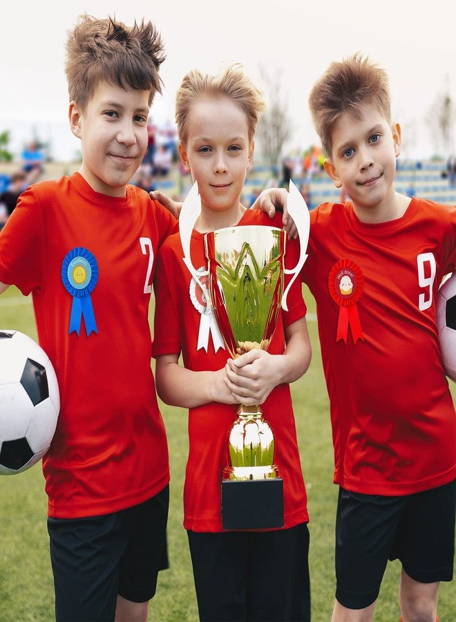 Sureio 12 Pcs Blank Award Ribbons 1st 2nd 3rd Place Rosette Ribbons Blue Red White First Second Third Place Participation Medal for Sports Events Classroom Winners Certificate Prizes - Image 2