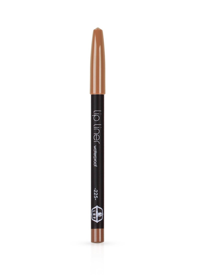 LEF COSMTICS LEF Professional Pencil Lipliner Full Coverage Matte Long Lasting Waterproof | 225 - Image 3
