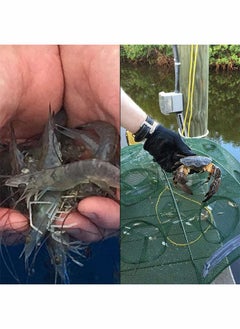 GROIC Fishing Net Trap Portable Folding Collapsible Crab Network Immersion Bait Shrimp Crayfish Cage Tiddler Trap Mesh Automatic 10 Holes--Green  - Image 4