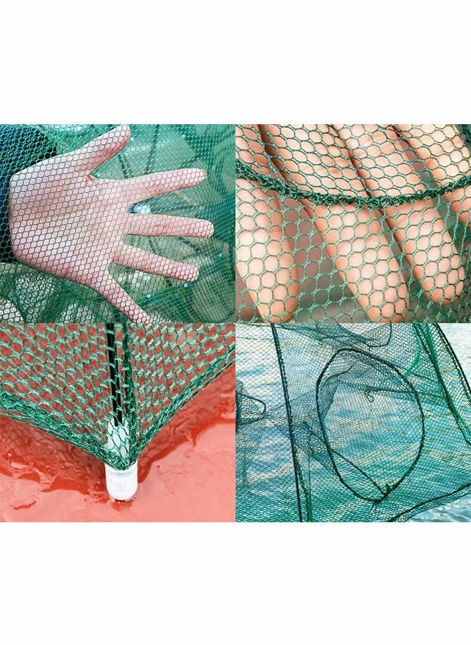 GROIC - Fishing Net Trap Portable Folding Collapsible Crab Network Immersion Bait Shrimp Crayfish Cage Tiddler Trap Mesh Automatic 10 Holes--Green - Image 1
