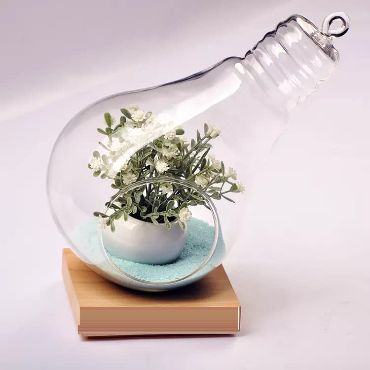 SAJANI Sajani Clear Glass Wall Hanging Flower Vase PlanterBulb DIY Air Succulent PlanterClear Tea Light Votive Candle HolderWedding Event Office Home Outdoor Decor Pack of 1  - Image 1