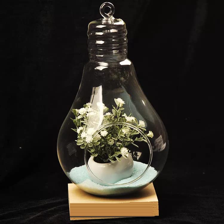 SAJANI Sajani Clear Glass Wall Hanging Flower Vase PlanterBulb DIY Air Succulent PlanterClear Tea Light Votive Candle HolderWedding Event Office Home Outdoor Decor Pack of 1  - Image 3