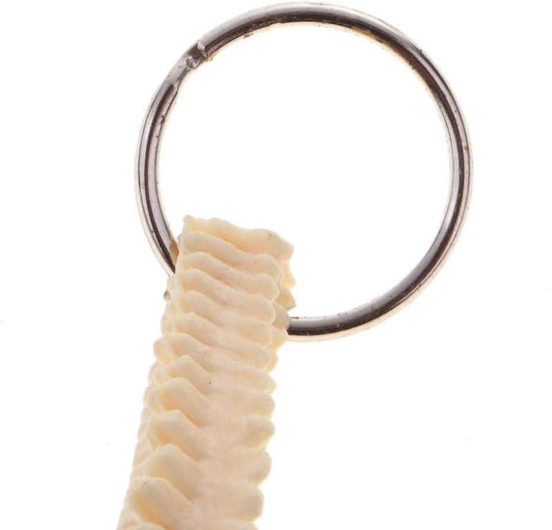 klarako Mini Handcrafted Human Spine Skeleton Model Keychain School Teaching Aid - Image 3