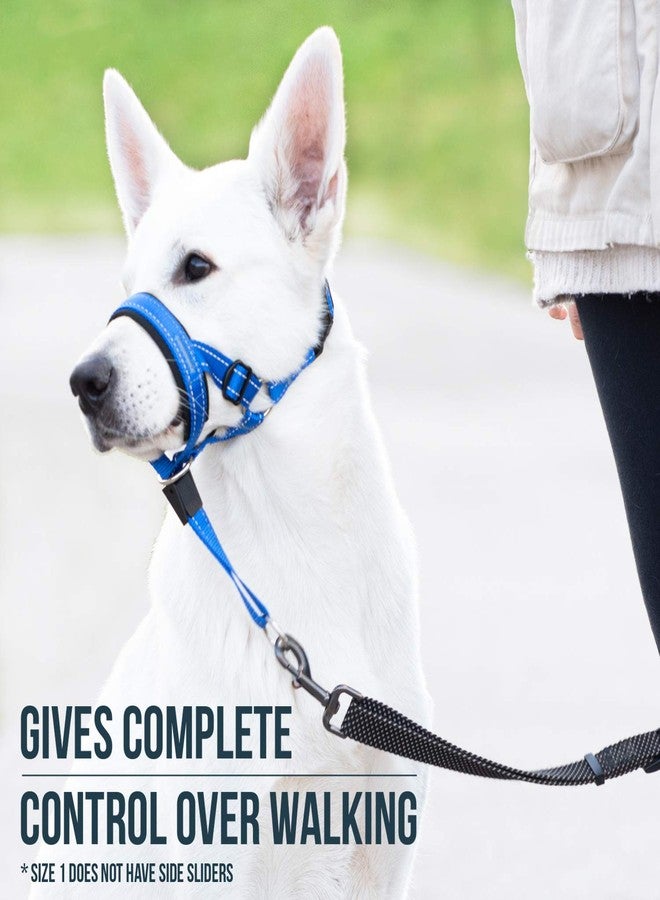 GoodBoy Dog Head Halter with Safety Strap - Stops Heavy Pulling On The Leash - Padded Headcollar for Small Medium and Large Dog Sizes - Head Collar Training Guide Included (Size 1, Blue Nylon) - Image 2