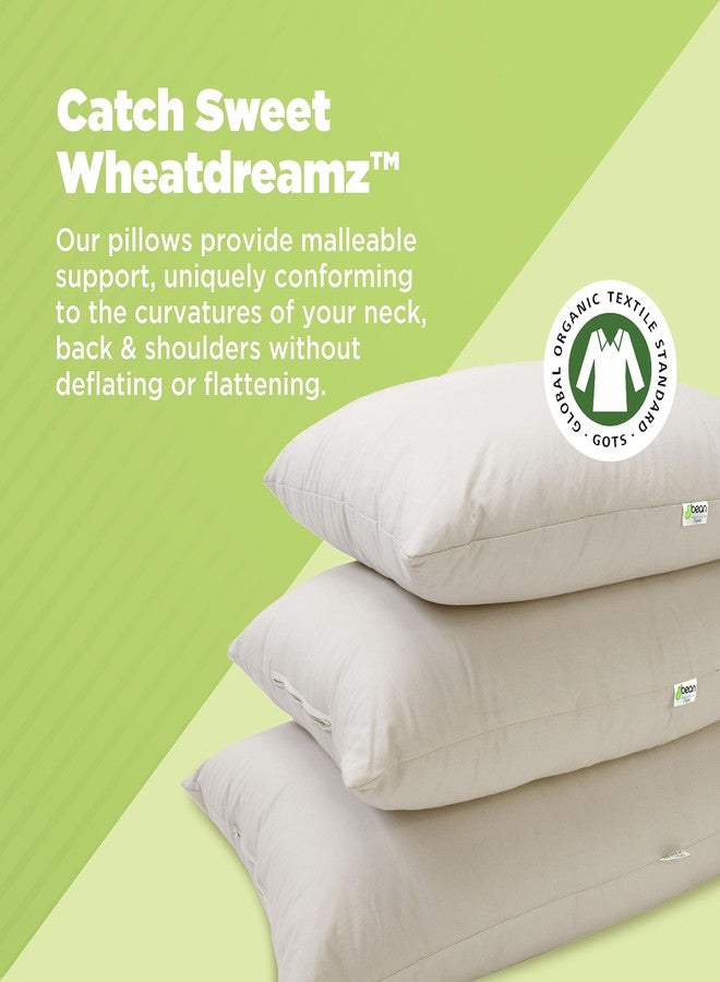 Bean Products Japanese Pillow with Pillowcase - Organic Kapok Filled Soft Neck Pillow with Organic Cotton Case - Hypoallergenic and Breathable Pillowcase with Zipper - Made in the USA, 14" x 20" - Image 2
