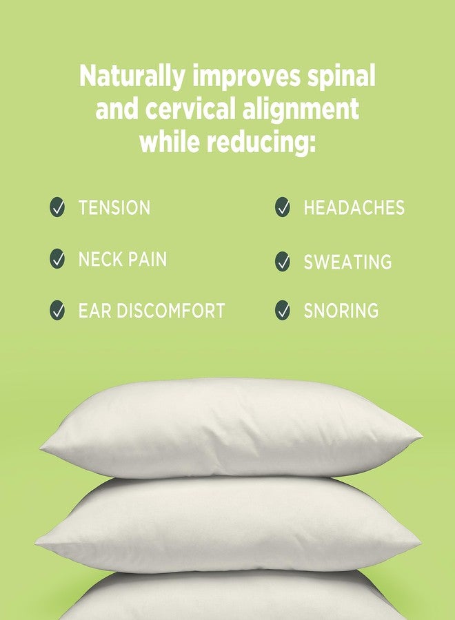 Bean Products Japanese Pillow with Pillowcase - Organic Kapok Filled Soft Neck Pillow with Organic Cotton Case - Hypoallergenic and Breathable Pillowcase with Zipper - Made in the USA, 14" x 20" - Image 5