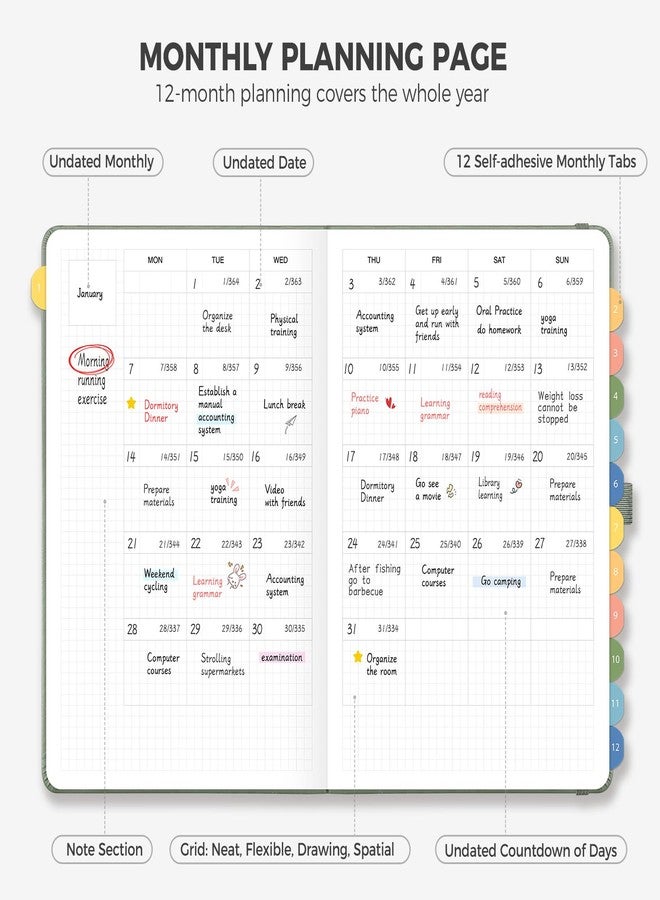 LOAPEM Undated Appointment Book, Hourly, Daily, 52 Weekly & 12 Monthly Planner, 6 AM - 8 PM, Medium Size (5.7" x 8.3"), Leather Hardcover, 12 Self-adhesive Monthly Tabs (Light Green) - Image 4