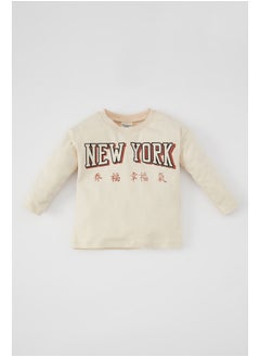 Babyboy Regular Fit Bike Neck Knitted Long Sleeve T-Shirt
