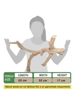 CHEWY BEAK Parrot tree branch perch made of solid java wood for macaw parrots and big birds  - Image 2