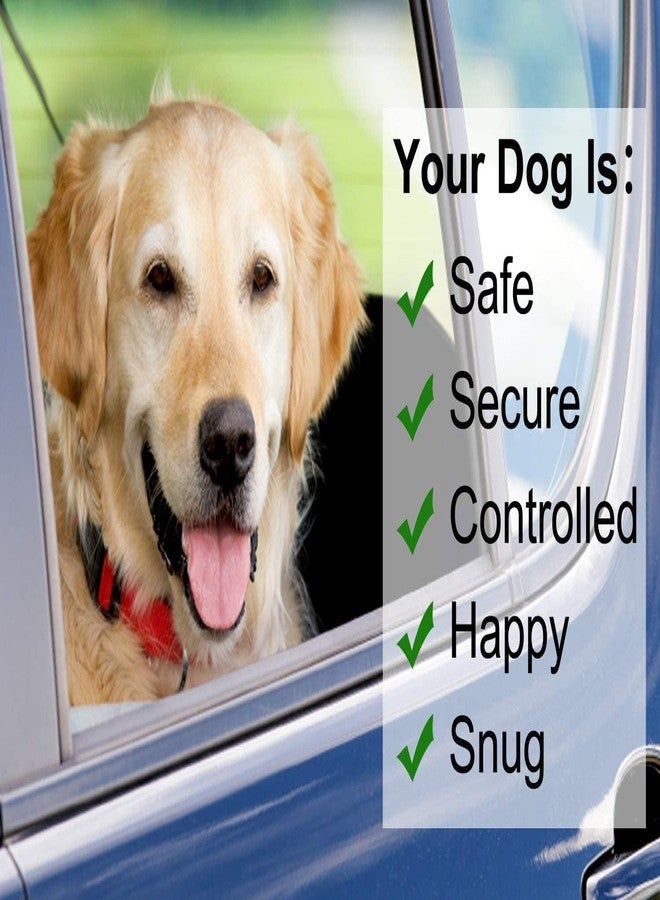 MIXEN Dog Seat Belt Car - Dog Car Seat Belt for Small Medium-Sized Puppy Car Harness Accessories (Black) - Image 5