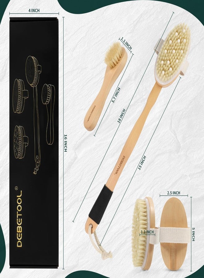 DEBETOOL Dry Brush Set for Body & Face - Dry Brushing Body Brush with Long Handle & 3 Replacement Heads (Soft/Medium/Firm) for Lymphatic Drainage Cellulite - Image 2