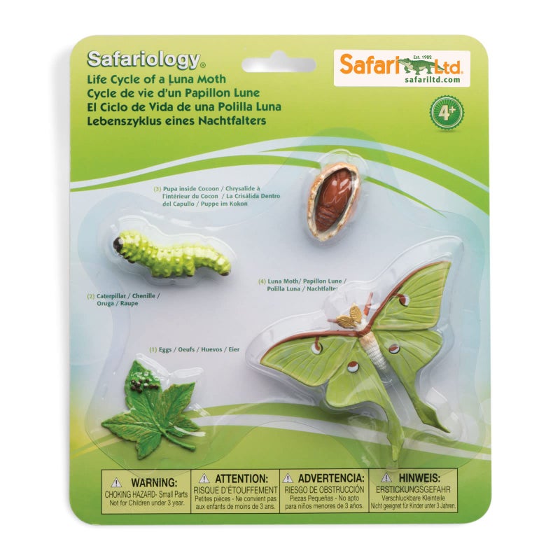 Safari Ltd Life Cycle of a Luna Moth Realistic Educational Toy Figurines Miniature Insect Lifecycle Collection for Boys Girls Kids Age 4 - Image 3