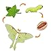 Safari Ltd Life Cycle of a Luna Moth Realistic Educational Toy Figurines Miniature Insect Lifecycle Collection for Boys Girls Kids Age 4 - Image 4