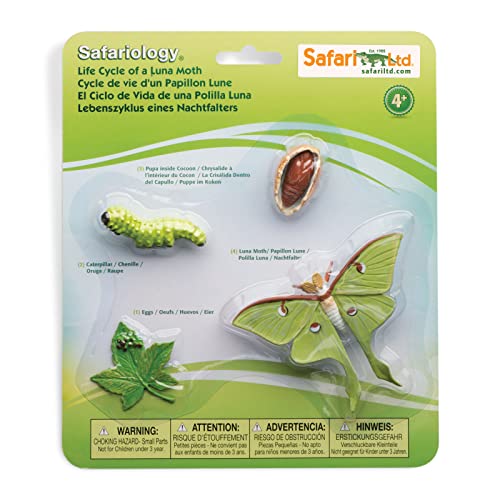 Safari Ltd Life Cycle of a Luna Moth Realistic Educational Toy Figurines Miniature Insect Lifecycle Collection for Boys Girls Kids Age 4 - Image 1