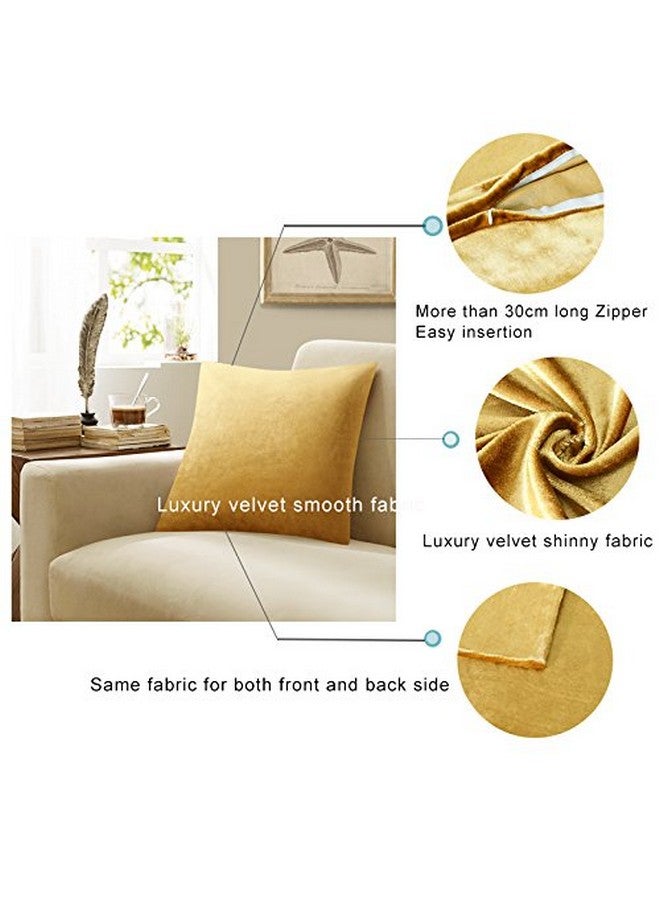 GIGIZAZA أغطية وسائد زخرفية GIGIZAZA 16x16، مجموعة من 2 أغطية وسائد مربعة ذهبية، وسائد بوهو من المخمل للكنبة - Image 3