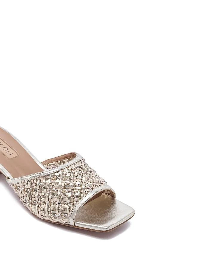 Nicoli  AMIRA for Women | Best Price UAE