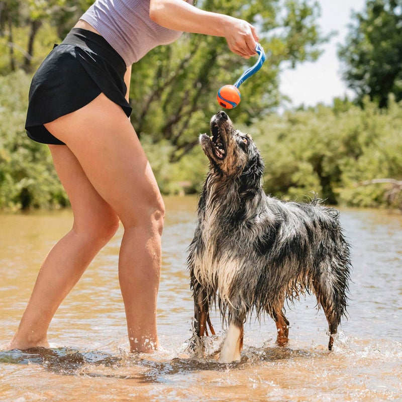Chuckit! Ultra Duo Tug Dog Toy - Two Ultra Balls on a Durable Nylon Cord Handle - Fetch and Tug-of-War Toy for Dogs - Size Medium - For Breeds 20-60 lbs - 2.5-inch Diameter - Orange and Blue - Image 2