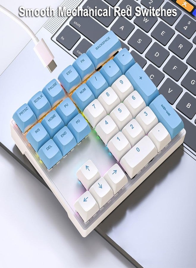 LINKEET Mechanical Numpad Rainbow Backlit Smooth Red Switches Wired USB Number Pad 33-Key NKRO Numeric Keypad with XDA PBT Keycaps External Keyboard Num Pad for Laptop, Mac - White Blue - Image 3