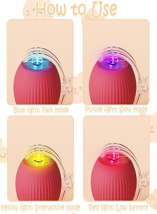 ZIGZAP Pet Cat Toys for Persian Cats - Interactive Pet Toys for Cats & Kittens | Soft, Fun & Safe Toys for Indoor Cats | Great for Play & Exercise - Image 3