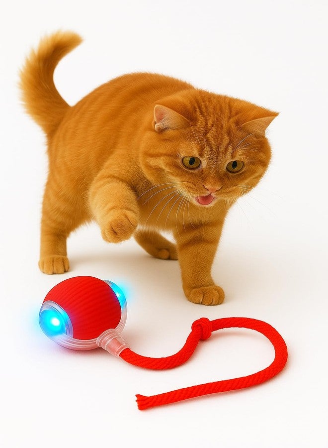 ZIGZAP Pet Cat Toys for Persian Cats - Interactive Pet Toys for Cats & Kittens | Soft, Fun & Safe Toys for Indoor Cats | Great for Play & Exercise - Image 1
