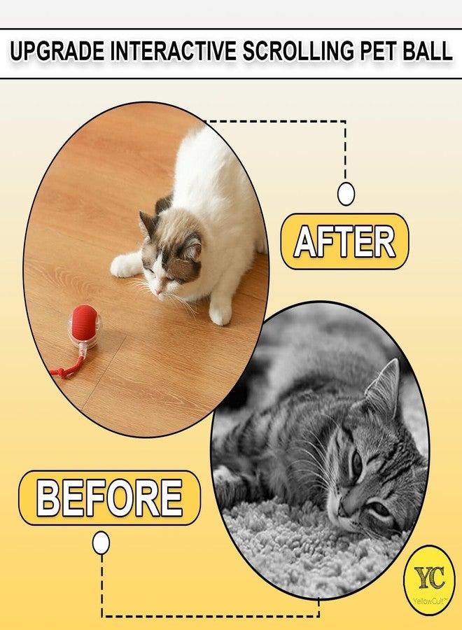 ZIGZAP Pet Cat Toys for Persian Cats - Interactive Pet Toys for Cats & Kittens | Soft, Fun & Safe Toys for Indoor Cats | Great for Play & Exercise - Image 2