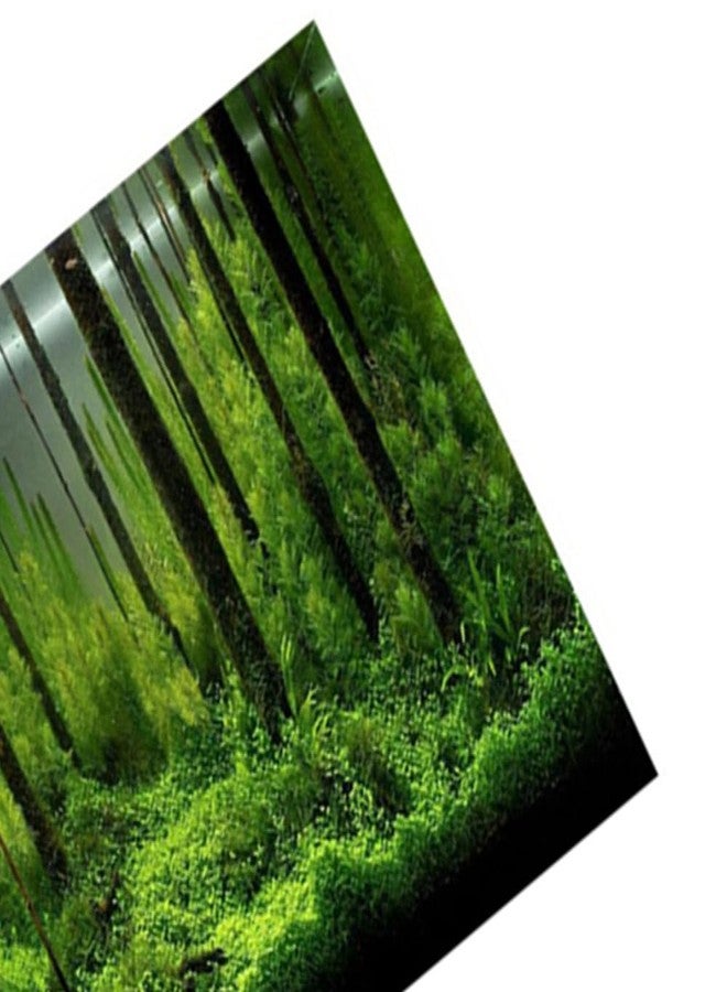 Chiffonade 24In Self-Adhesive PVC Aquarium Background Easy Install Decor Paper Water Proof Fish Tank Backdrop with Vivid Underwater Forest Design - Image 5