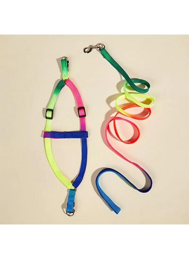 طقم أحزمة قطط من النايلون المتين مقاس 10 مم | حزام قابل للتعديل بألوان قوس قزح مع مقود | حزام مشي ناعم ومقود للقطط والقطط الصغيرة - قطعة واحدة - Image 4