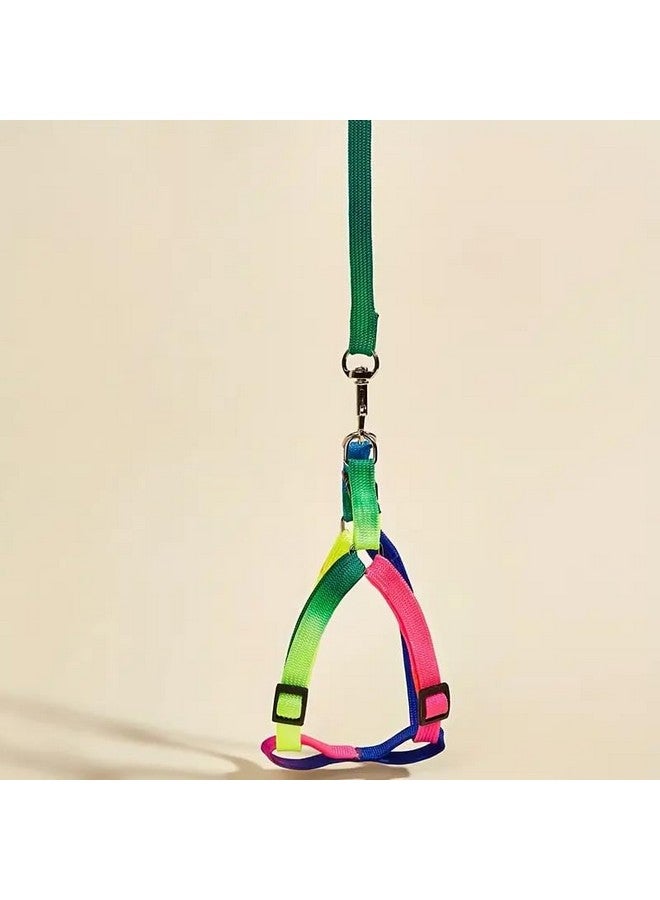 طقم أحزمة قطط من النايلون المتين مقاس 10 مم | حزام قابل للتعديل بألوان قوس قزح مع مقود | حزام مشي ناعم ومقود للقطط والقطط الصغيرة - قطعة واحدة - Image 3