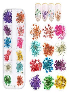 KingMas Rs Dried Flowers For Nail Art Kingmas 1 Box Dry Flowers Mini Real Natural Flowers Nail Art Supplies 3D Applique Nail Decoration Sticker Decor (A)  - Image 1