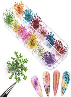 KingMas Rs Dried Flowers For Nail Art Kingmas 1 Box Dry Flowers Mini Real Natural Flowers Nail Art Supplies 3D Applique Nail Decoration Sticker Decor (A)  - Image 2