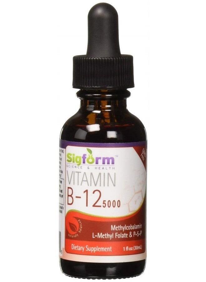 Vitamin B12 5000 Sublingual, 0.02 Pound - pzsku/Z8003FB36B7D905CF9831Z/45/_/1689286541/c0210720-f9ee-48b2-95fb-8f0745230a51