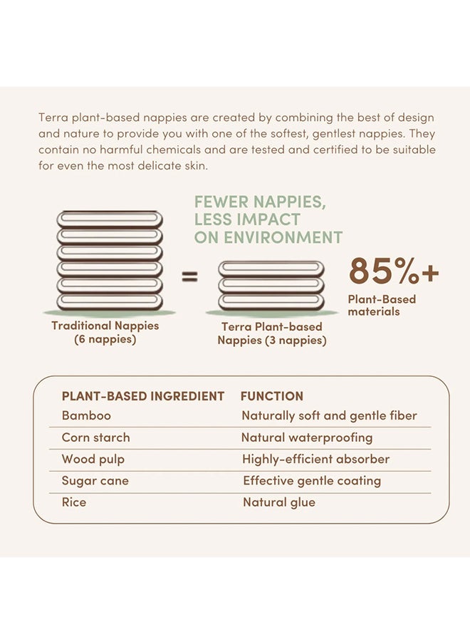 Terra - Crawler Plant-Based Diapers For Babies, 6 - 11 Kg, 6 - 12 Months, 20 Count, Size 3 - Image 1