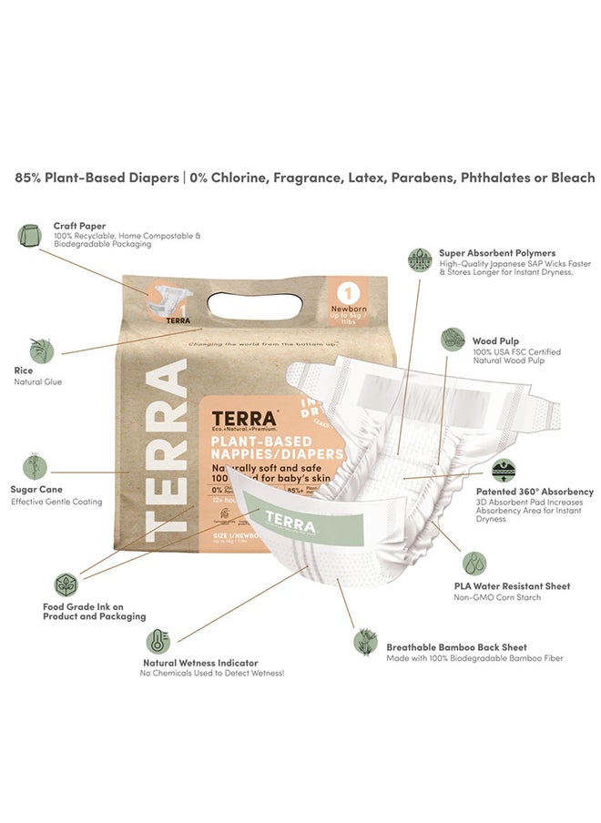 Terra - Crawler Plant-Based Diapers For Babies, 6 - 11 Kg, 6 - 12 Months, 20 Count, Size 3 - Image 1