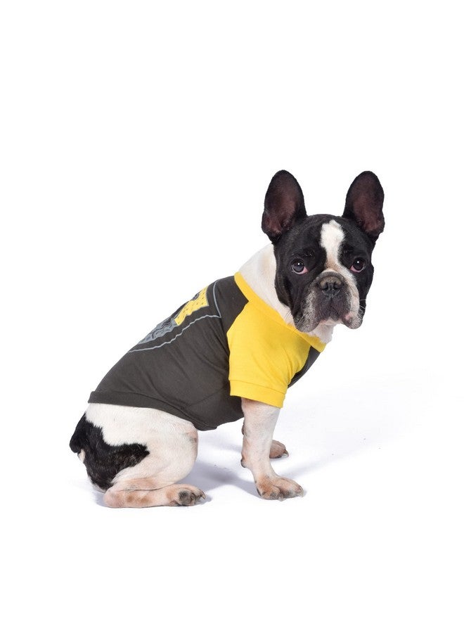 هاري بوتر تيشيرت هاري بوتر هافلباف للحيوانات الأليفة، مقاس كبير جدًا | تيشيرت للكلاب مقاس XL، تيشيرت هاري بوتر للكلاب | ملابس وإكسسوارات هاري بوتر للكلاب لمنازل هوجورتس، هافلباف، FF19290 - Image 3