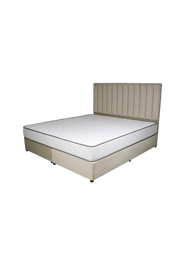 Bed and Mattress Zone Opulence Upholstered Bed 203 X 150 Queen Size Beige Color, Mattress Size-200x150cm (Mattress sold separately)  - Image 2
