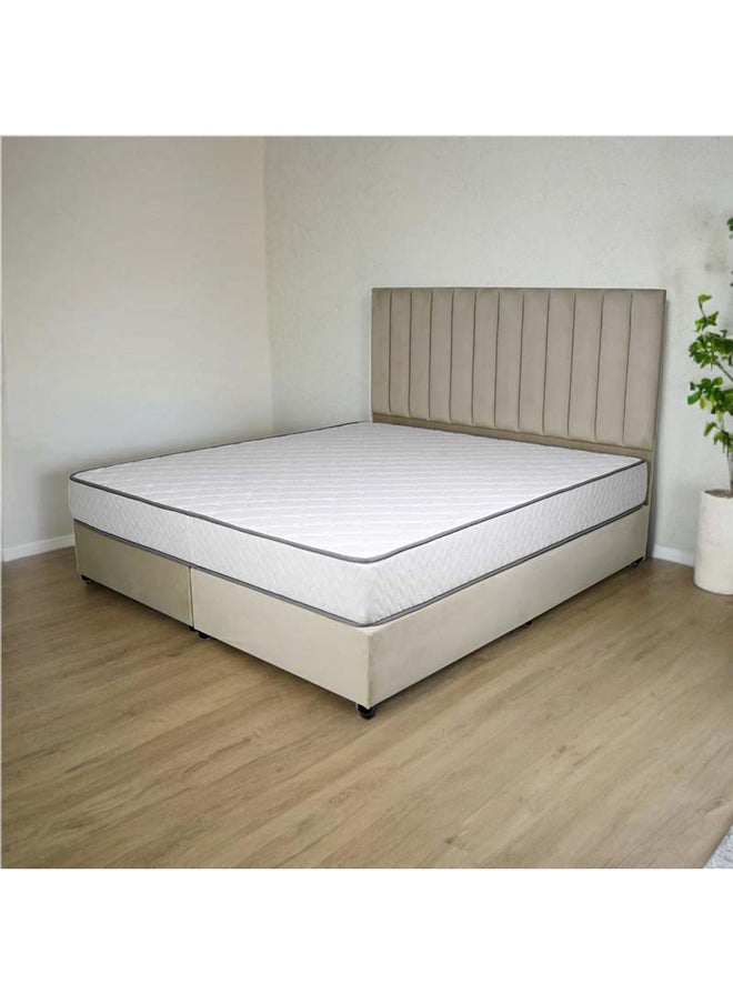 Bed and Mattress Zone Opulence Upholstered Bed 203 X 150 Queen Size Beige Color, Mattress Size-200x150cm (Mattress sold separately)  - Image 5