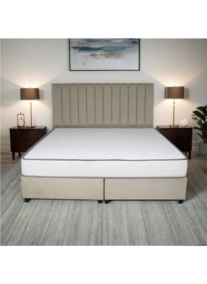 Bed and Mattress Zone Opulence Upholstered Bed 203 X 150 Queen Size Beige Color, Mattress Size-200x150cm (Mattress sold separately)  - Image 1