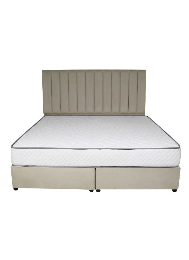 Bed and Mattress Zone Opulence Upholstered Bed 200 X 150 Queen Size Beige Color  - Image 1