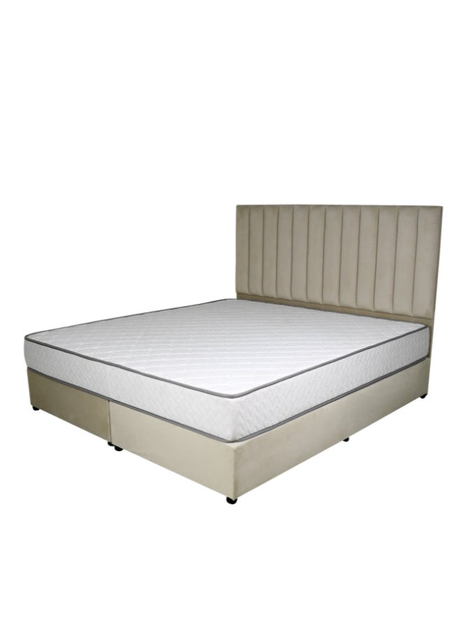 Bed and Mattress Zone Opulence Upholstered Bed 200 X 150 Queen Size Beige Color  - Image 2