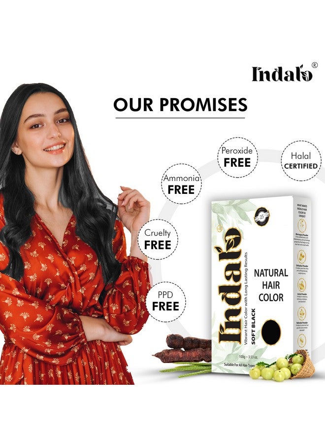 Indalo Natural Hair Color Soft Black | No Ammonia, No Paraben, No Ppd, Soft Black Hair Color | Suitable For Men & Women (100G) - Image 3