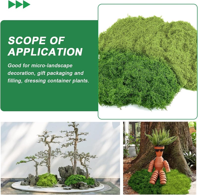 PacuM 100 g Artificial Moss for Decorating, Process Moss, Nylon Moss, Artificial Moss for Crafts, Artificial Moss for Crafts, Iceland Moss, Artificial Moss for Crafts, Miniature Garden Decoration (Light - Image 5