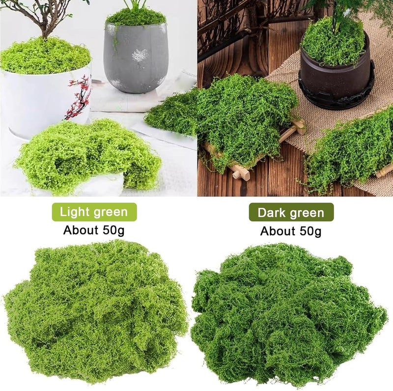 PacuM 100 g Artificial Moss for Decorating, Process Moss, Nylon Moss, Artificial Moss for Crafts, Artificial Moss for Crafts, Iceland Moss, Artificial Moss for Crafts, Miniature Garden Decoration (Light - Image 2