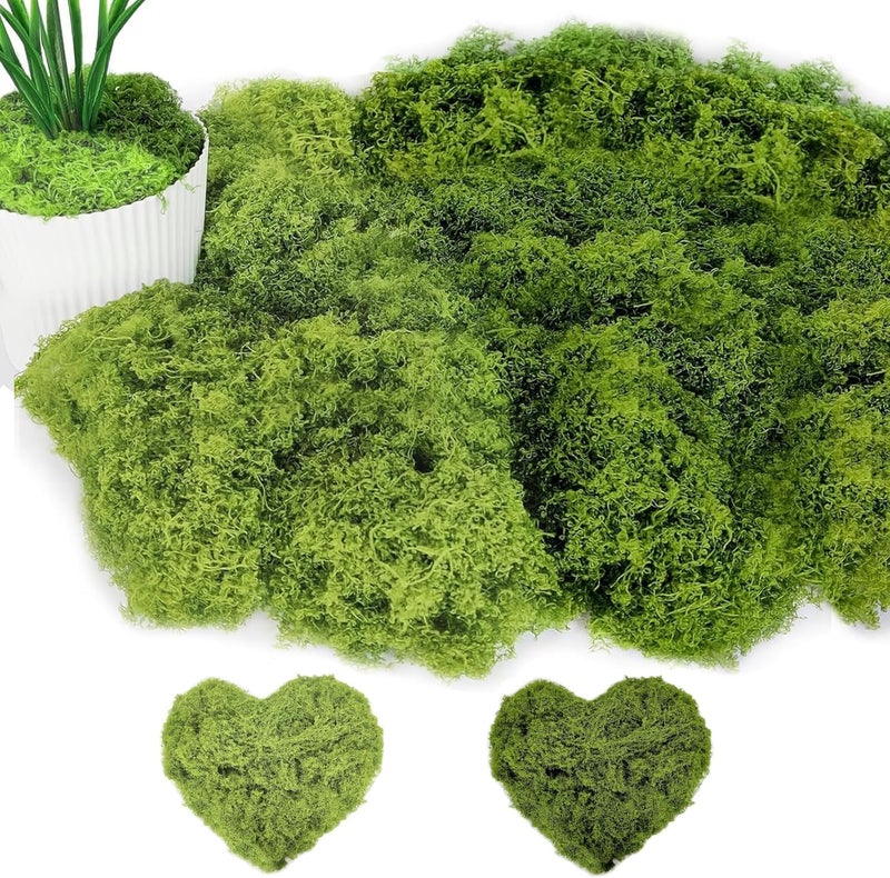PacuM 100 g Artificial Moss for Decorating, Process Moss, Nylon Moss, Artificial Moss for Crafts, Artificial Moss for Crafts, Iceland Moss, Artificial Moss for Crafts, Miniature Garden Decoration (Light - Image 1