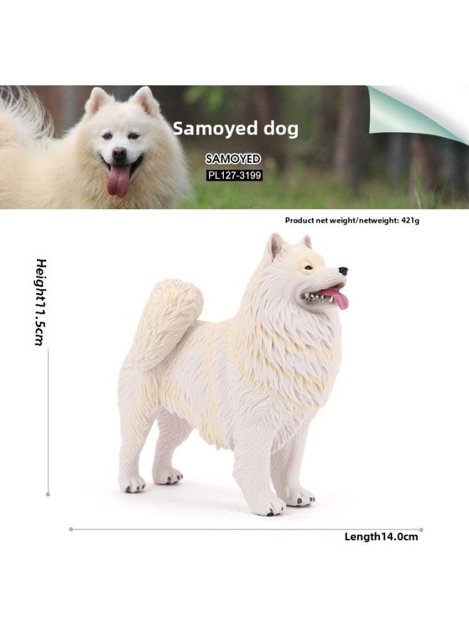 Children's Simulation Solid Animal Model Chai Dog Golden Retriever Dog Lazy Cat Garfield White Mouse Pet Ornaments Toy-Color:127-3199 Samoyed Dog  - Image 1