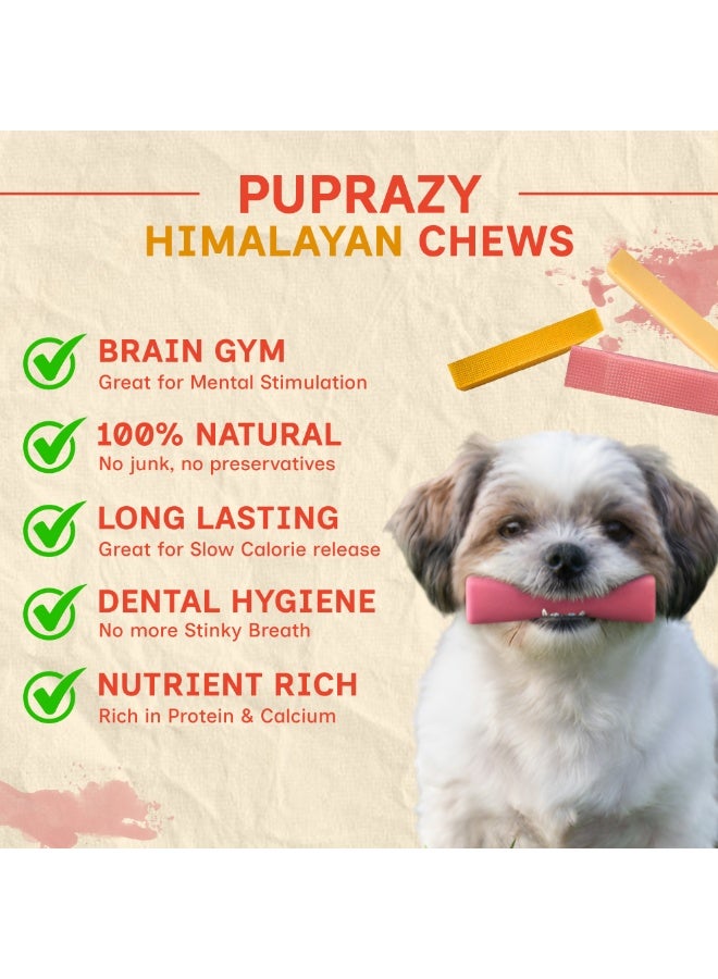 PUPRAZY Himalayan Yak Cheese Dog Chew Bars | 3-Flavor Pack (Natural, Turmeric & Strawberry) | All Natural, Junk-Free Dog Treats | Long-Lasting Dental Chews - Image 2