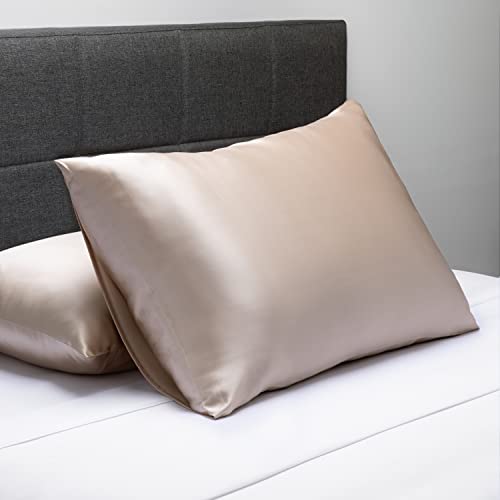 Fishers Finery 19mm 100% Pure Mulberry Silk Pillowcase, Quality Tested (Taupe, Q) - Image 3