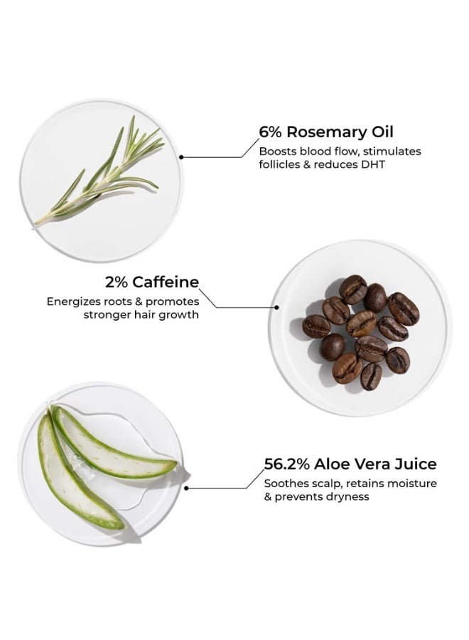 BRILLARE Brillaire Rosemary Shampoo 200 ML - Image 2