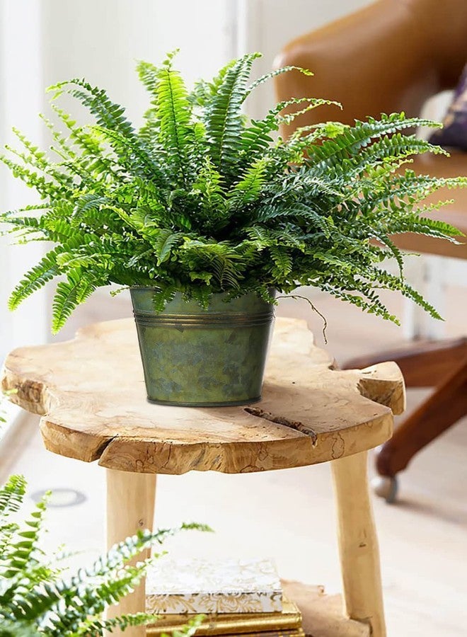 Briful 5 Size Galvanized Buckets Rustic Farmhouse Metal Bucket Galvanized Flower Bucket Plants Pot, Home Indoor Outdoor Decor Tin Planter, 3.7In/3.9 in/5.1In/5.9In/7.1In - Image 4