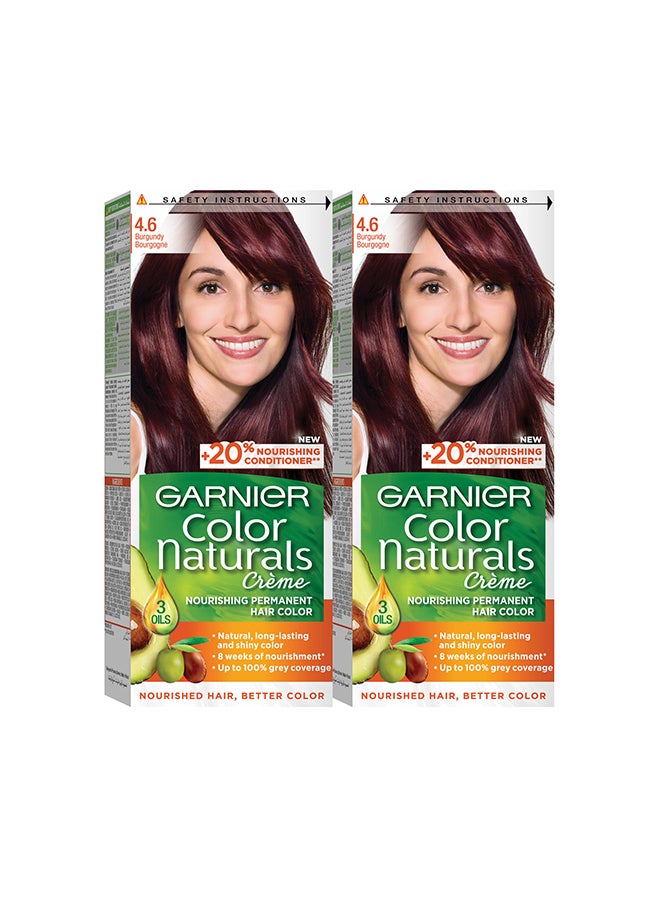 garnier كولور ناتشورالز 4.6 صبغة شعر برغندي، عبوة من قطعتين